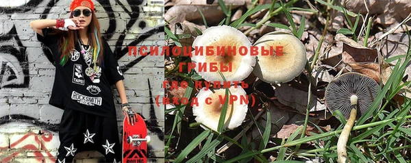 бошки Новодвинск