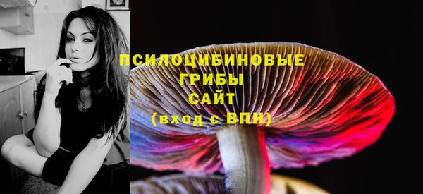 бошки Новодвинск