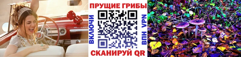 Галлюциногенные грибы Cubensis  Суоярви 